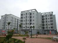Hà Nội nên phát triển nhà ở cho thuê nhà thu nhập thấp, giá cao